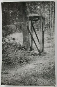 Mary Elizabeth Bell on the Path in the Woods Vintage Photo Postcard M13