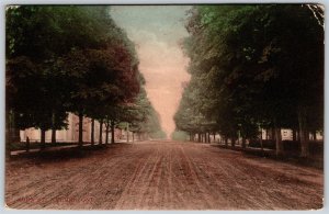 Postcard Aylmer Ontario c1910 John Street Elgin County by E.A. Caughill