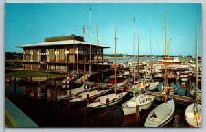 Annapolis Maryland  Yacht Club Postcard
