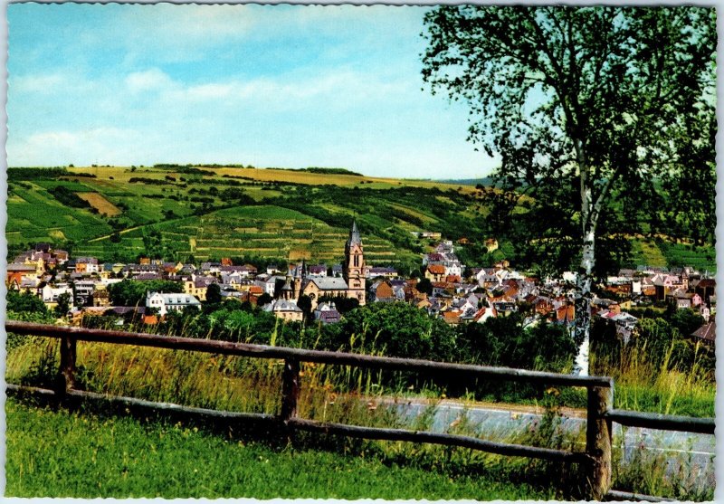 c1970s Bad Neuenahr, Germany Village Town Panorama Hills Vineyard Chrome 4x6 M24