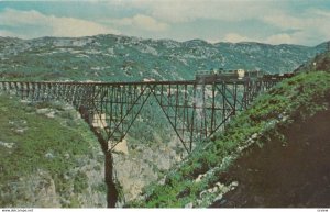 Steel Bridge on the W.P. & Y.R. , Alaska , 1950-60s