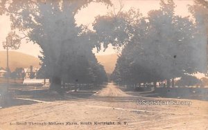 Road Through McLean Farm - South Kortright, New York NY Postcard