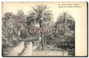 Old Postcard Alcazar Sevilla Jardines