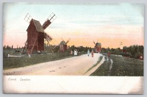 Postcard Oland Sweden Windmills Sunset White Border 1900s UDB View