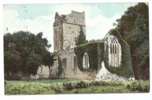 Ireland; Killarney, Muckross Abbey Ruins PPC, 1911 Local PMK  