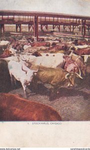 Illinois Chicago Cattle Pens At Union Stock Yards