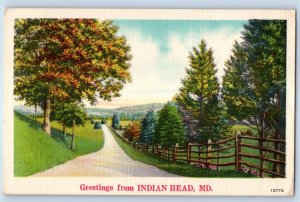 1951 Indian Head Maryland MD Vintage Postcard Greetings Scenic View Road Trees
