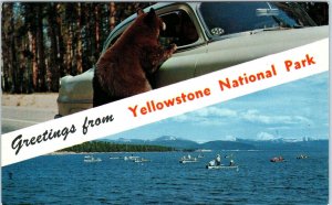 YELLOWSTONE NATIONAL PARK, WY Wyoming BEAR BEGGING at c1950s CAR- Lake  Postcard