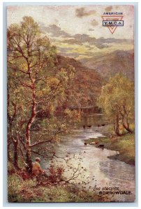 Cumberland England Postcard The Birches Borrowdale c1910 Oilette Tuck Art