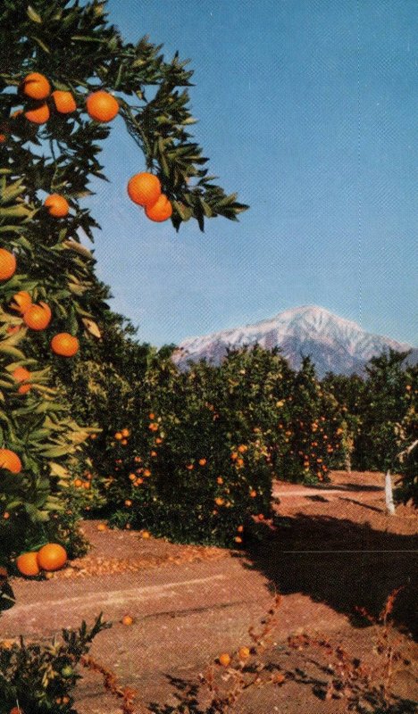 Foothills,San Bernardino,CA BIN