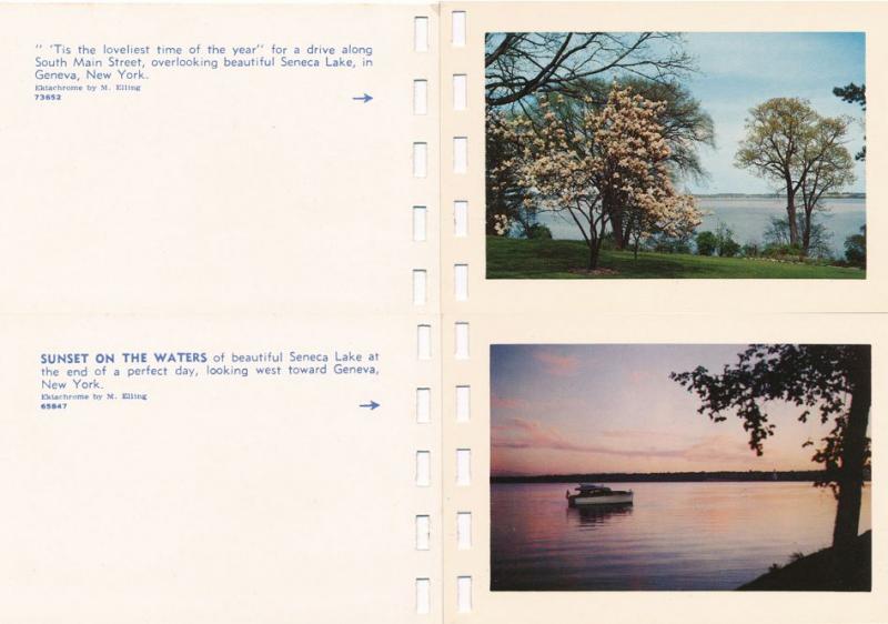 Finger Lakes Region of New York - Booklet of 10 mini photos