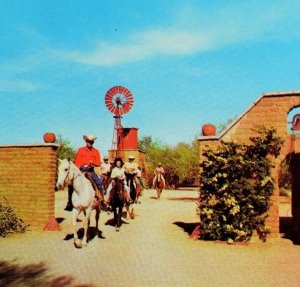 Vintage Rex Ranch, Amado, Arizona. Postcard P47