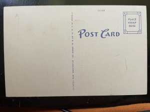 Vintage Postcard 1930-1945 Naeve Hospital, Albert Lea, MINN.
