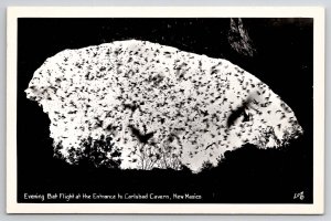 Mew Mexico Evening Bat Flight Entrance Carlsbad Cavern RPPC Postcard L28