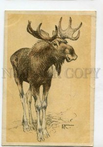 3131918 HUNT Moose by KOMAROV old Russian ADVERTISING ZOO PC