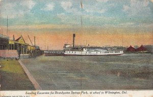 LANDING EXCURSION BRANDYWINE SPRINGS PARK SHIP WILMINGTON DELAWARE POSTCARD 1909