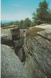 View from the Rocks - Rock City Park, Olean NY, New York