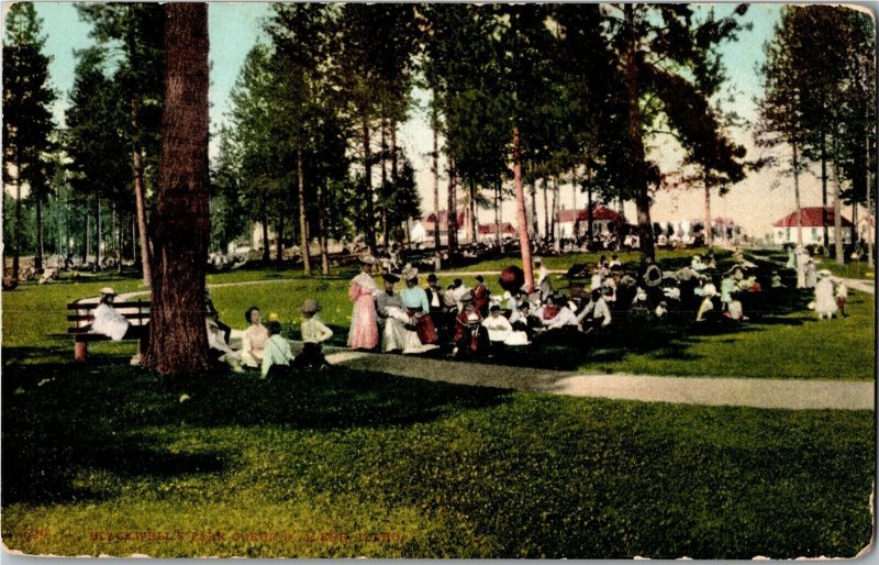 Scene in Blackwell's Park, Coeur d'Alene ID c1908 Vintage Postcard B77