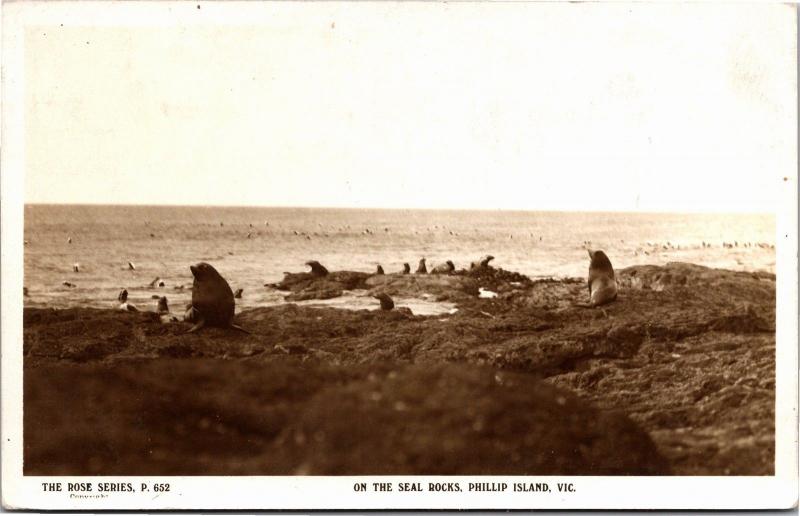 Rose Series P 652, On the Seal Rocks, Phillip Island Victoria Vtg Postcard M03