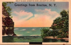 New York Greetings From Brocton