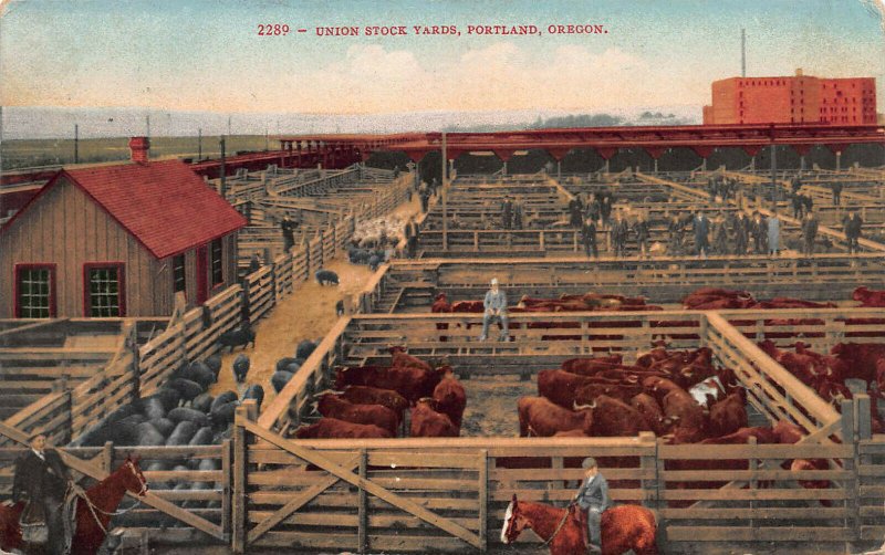 Union Stock Yards, Portland, Oregon, Early Postcard, Used in 1912