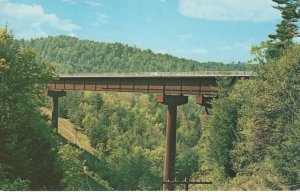 PC5993 BRIDGE OVER GREEN RIVER, NC