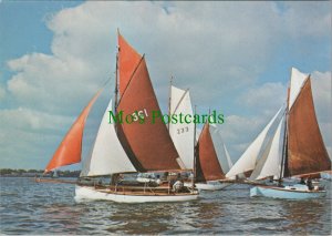 Yachting Postcard - Betty, A Group of Old Gaffers Racing at Cowes Ref.RR15147