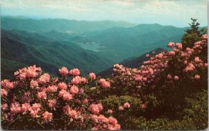 postcard  North Carolina - Asheville Watershed - view from Potato Knob