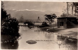 Canada A Mountain Vista From Stanley Park Vancouver Vintage RPPC 09.91