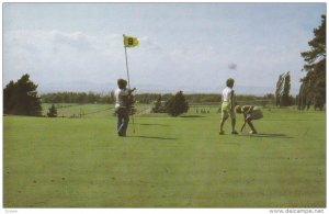 Golf Course , ST-PATRICE , Quebec , Canada , 1984
