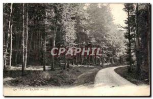 Old Postcard Eu La Foret