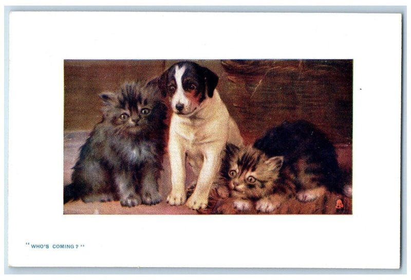 Postcard Two Cats and a Jack Russell Dog c1910 Unposted Oilette Tuck Cats