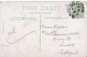 Genealogy Postcard - Family History - Kelly - Kings Rd - Knock - Belfast  7522