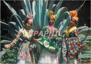 Modern Postcard The Fine Books Guadeloupe Guadeloupe Caring Feminine Folklore...