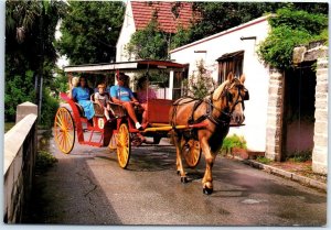 Postcard - Colee's Sightseeing Carriage Tours - St. Augustine, Florida