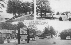 Carp Lake Michigan The Cedars Cabins Multiview Vintage Postcard AA65433