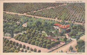 Florida Trees Orange Grove From The Air Curteich