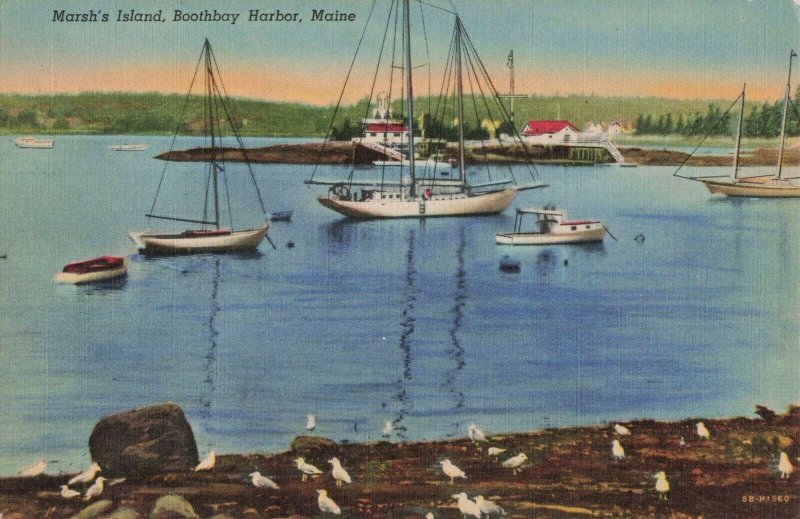 Marsh's Island, Boothbay Harbor, Maine Sail Boats, Seagulls on Beach Postcard