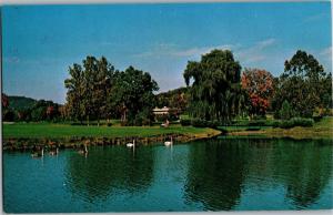 Greenbrier, White Sulphur Springs WV Golf Course 16th Hole Vintage Postcard N05