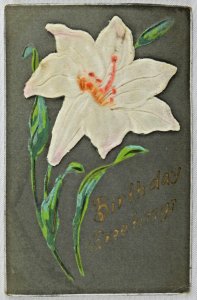 1909 White Lily Flower with Orange - Birthday Greetings - Vintage Postcard