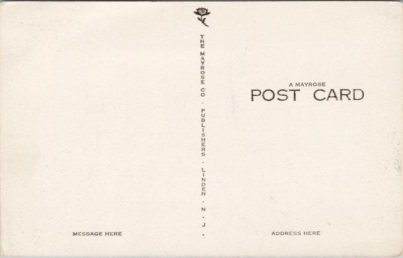 State Capitol Dover Delaware UNUSED Postcard D97