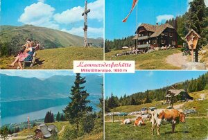 Austria Lammersdorferhutte auf der Millstatteralpe Postcard