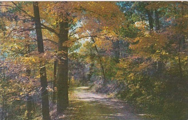 Kentucky Autumn Colors At Mammoth Cave National Park