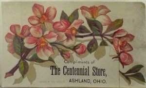 1870's-80's The Centennial Store Ashland, OH Pink Blossoms Flowers P56