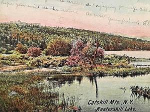 Postcard  Hand Tinted View of Kaaterskill Lake  Catskill Mountains , NY      W1