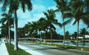 Vintage Postcard La Olas Boulevard Beautiful Streets Fort Lauderdale Florida FL