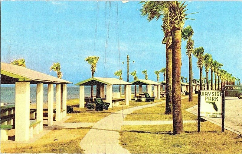 Wayside Park Pensacola Florida Vintage Postcard Standard View Card 