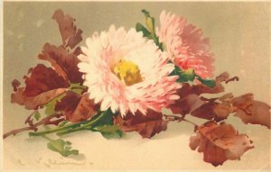 C-1910 Klein Artist flowers Meissner Buch artist impression Postcard 21-11182