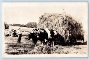 Homestead Iowa IA Postcard RPPC Photo Making Hay Ox And Wagon Farming Field