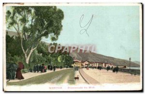 Old Postcard Menton Promenade du Midi
